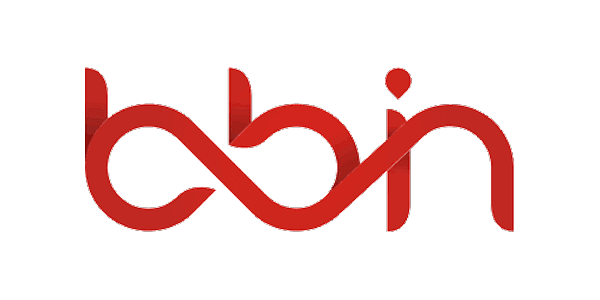 Visa partner logo